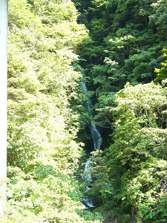 榛原郡川根本町大字犬間　大樽沢の滝
