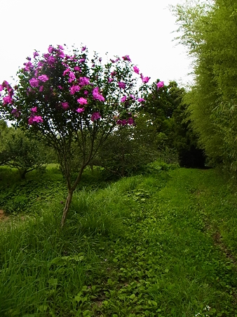 R0015106