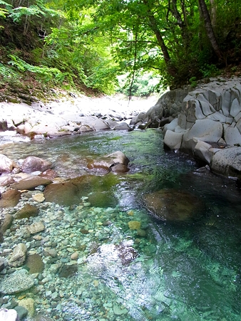 R0015518