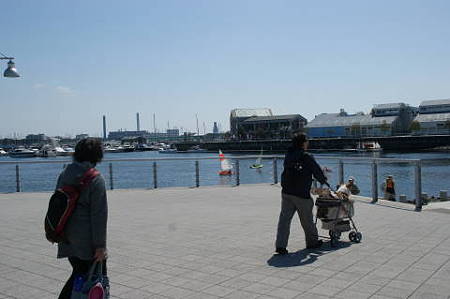 DSC05118