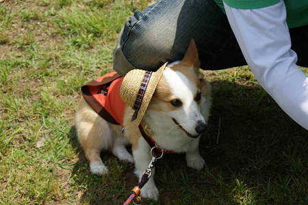 DSC00737