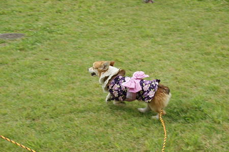 DSC00908