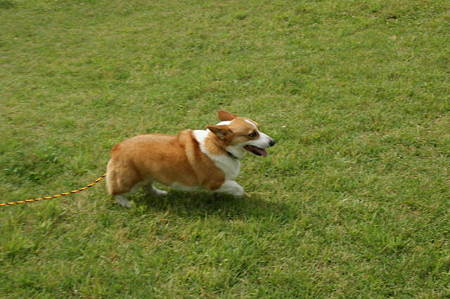DSC00919