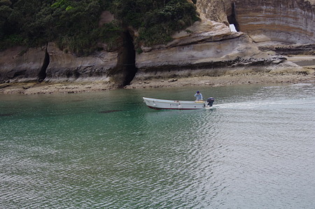 IMGP5542
