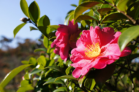 24mmf1.8_TEST2