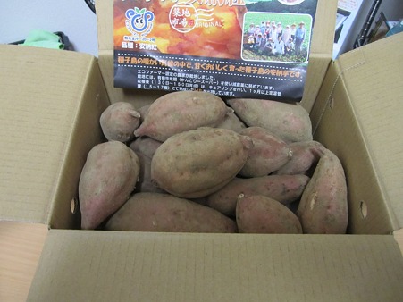 サツマイモを買いました
