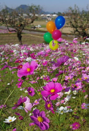 IMGP8776_1029