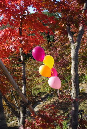 IMGP1386_1126