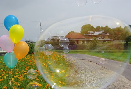 IMGP9917_0731