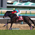 Photos: 08-ネコパンチ