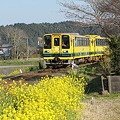 いすみ鉄道　ムーミン列車2