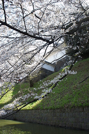 DSC01988