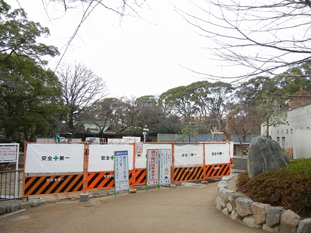 DSCN0808