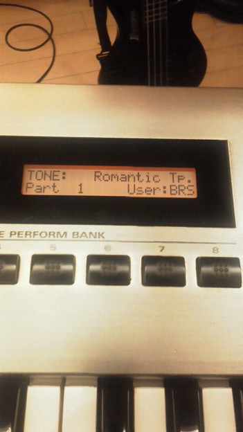 ほらzunペット 写真共有サイト フォト蔵