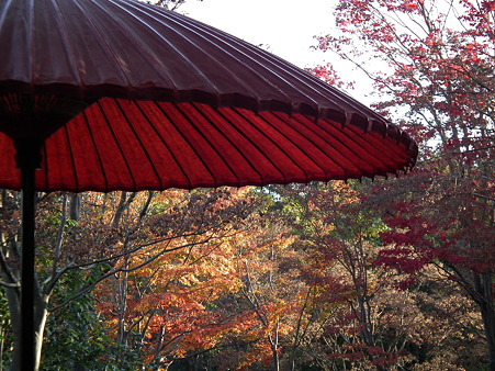 紅葉 727