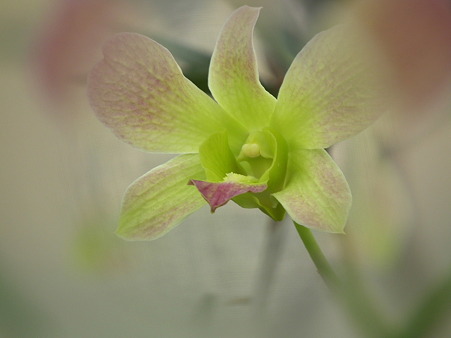 DSCF0082