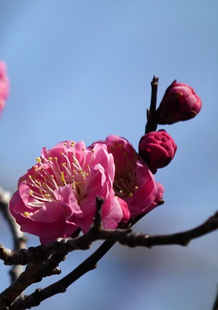 DSCF0104