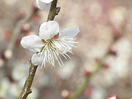 DSCF0205