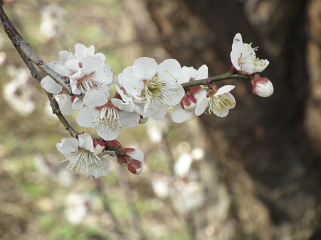 DSCF0209