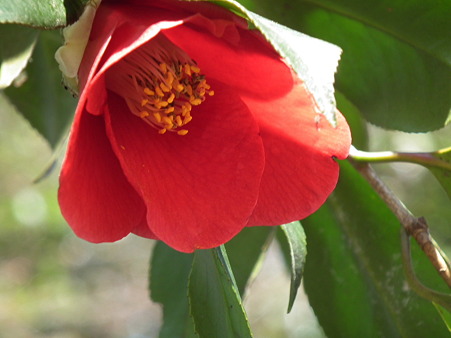 DSCF0032