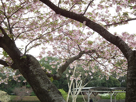DSCF0175