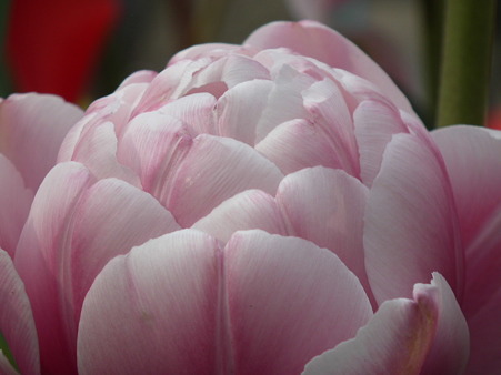 DSCF0153