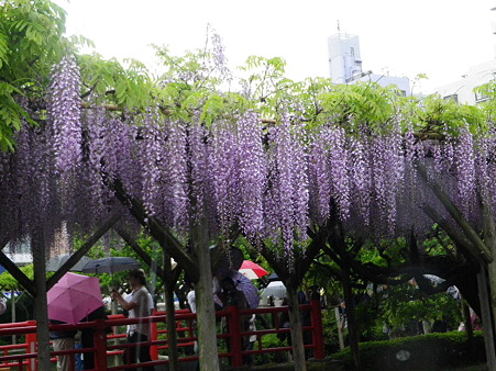IMGP0029