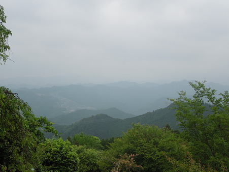 DSCN1889
