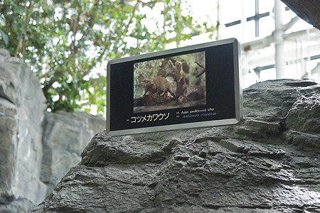kaiyukan110918449