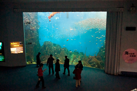 notojima120205003