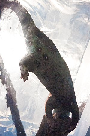 notojima120204459