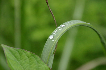 雨上がり…