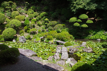 根来寺庭園