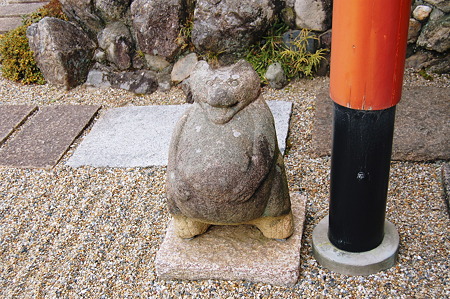 2012年01月09日_DSC_0503不空院の狸さん