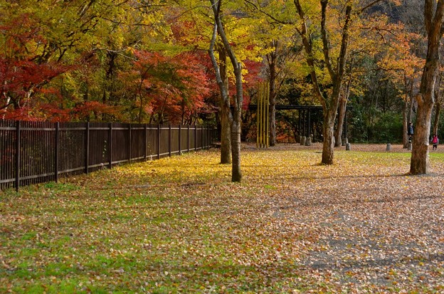 相模湖の紅葉 Nov 11 写真共有サイト フォト蔵