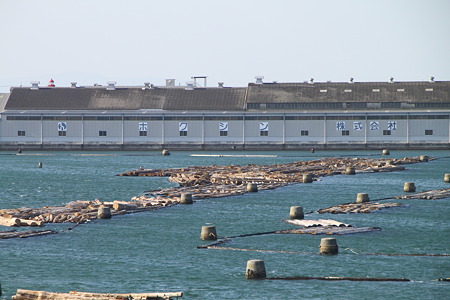 082　岸和田の貯木場