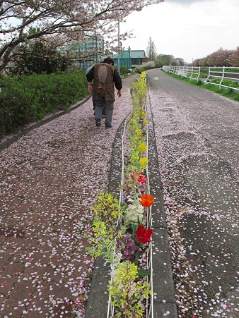 春の散歩道　2012年4月15日　長尾川左岸