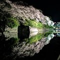 2012年4月6日　駿府城二の丸堀　夜桜