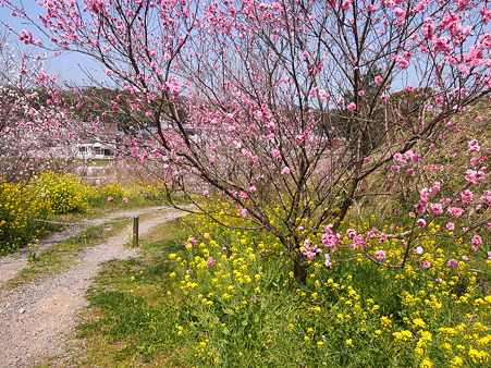 2012 春