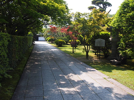的山荘