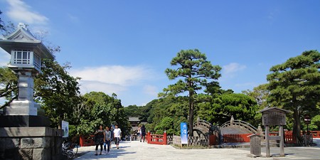 DSC02287●３