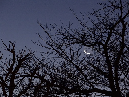 夜明け前の三ヶ月と木星