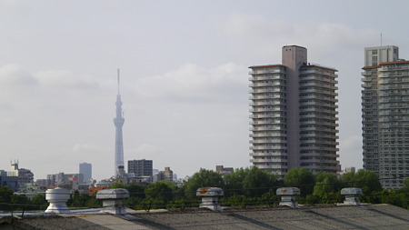 IMGP5455