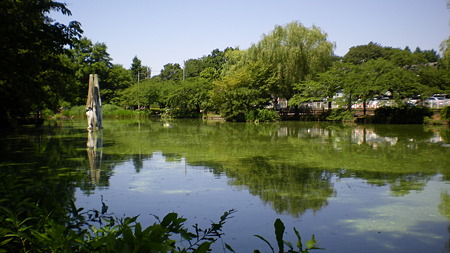 IMGP5598