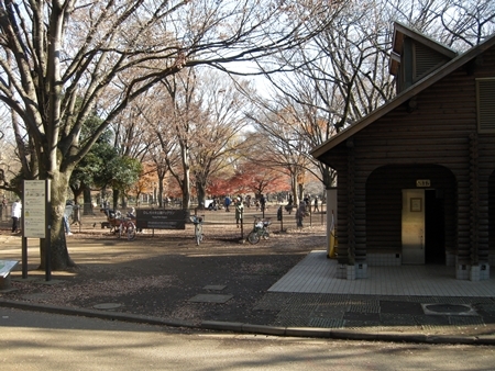 DSCN1354