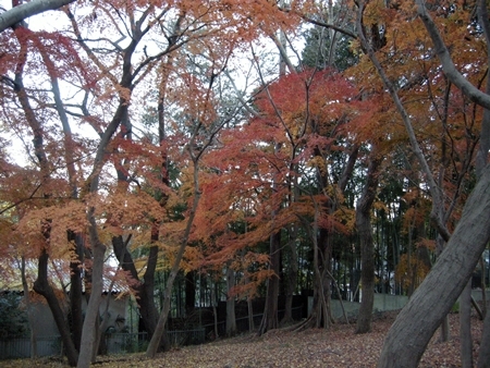 DSCN1287