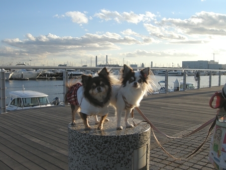 DSCN1600