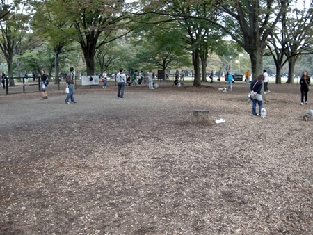 DSCN0993