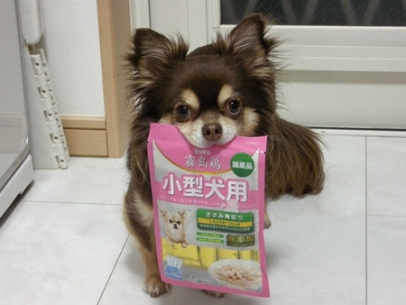 DSCN2081