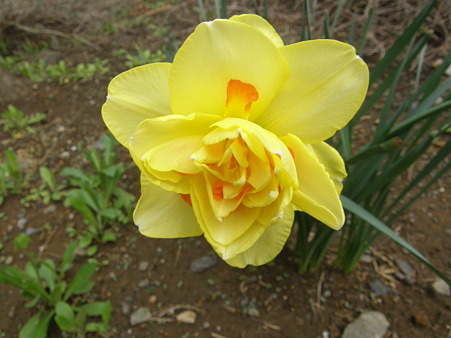 P4130012